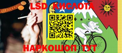 гидропоника Пенза