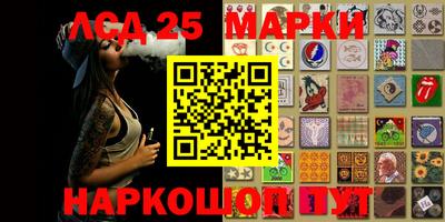 гидропоника Пенза