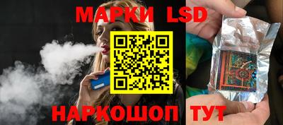 гидропоника Пенза